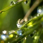 후회 없는 아름다운 삶