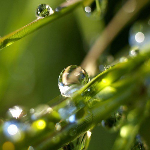 용기를 주는 시